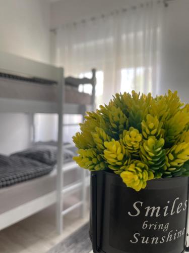 Apartman Kis Apartman Kis