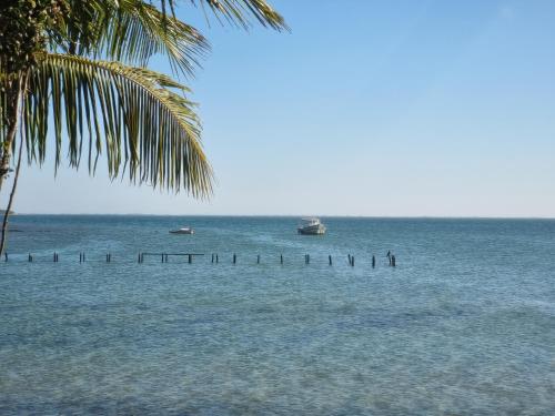 ชายหาด, Kitnet em ambiente familiar in ปอร์โตดัลเดยา