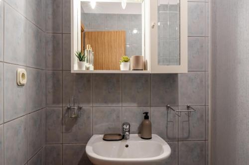One-Bedroom Apartment with Terrace image 8