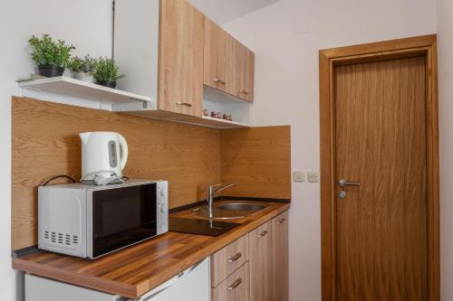 One-Bedroom Apartment with Terrace image 5