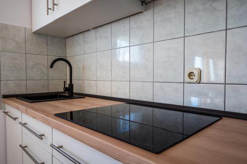 One-Bedroom Apartment with Terrace image 4