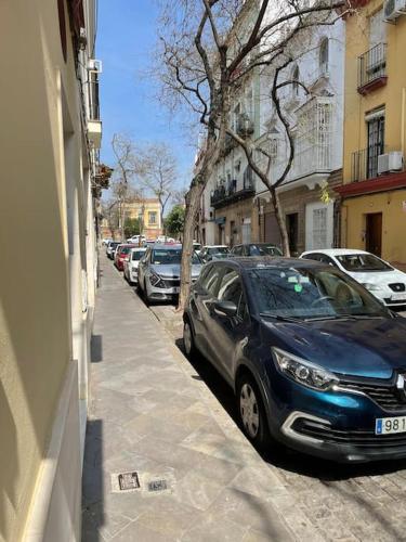 Apartamento Hoomtur Sevilla, Seville (photo 6)