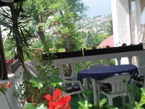 Balcony/terrace, Hotel Viktoria Restaurant in Balatonalmadi