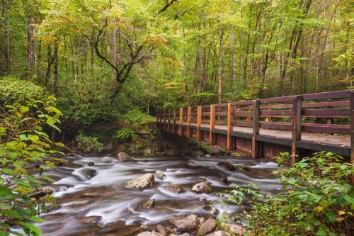 A Smoky Mountain Lake Cabin - Get 951 worth of FREE area attraction tickets for each paid day!