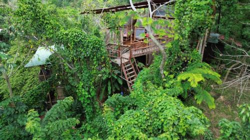 Ванна кімната, The Valley Tayrona hostel- A social jungle hostel in Калабазо