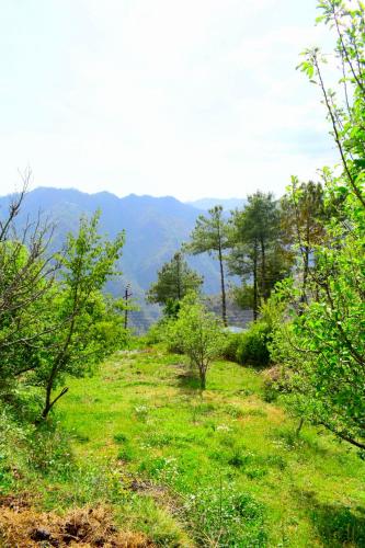 Farm House in Simla Mashobra