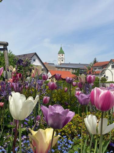 Schöne Wohnung in der Altstadt