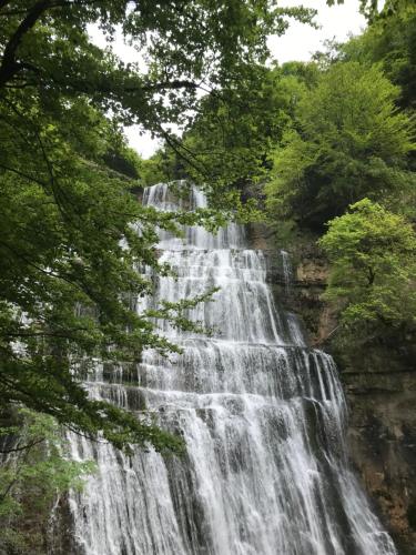 L'Oréline au cœur de la région des Lacs du Jura