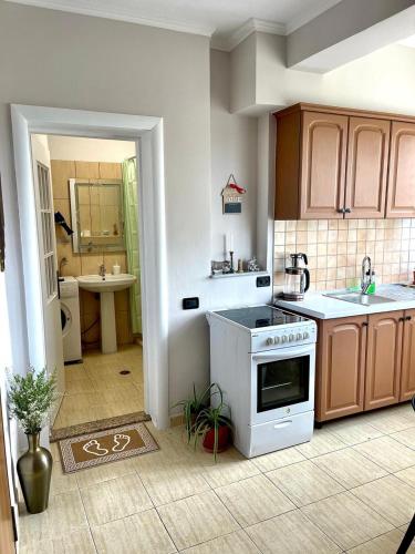 Flex Apartment, Tirana (photo 8)