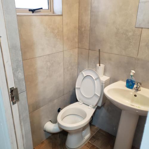 Bees Villiers - image 10