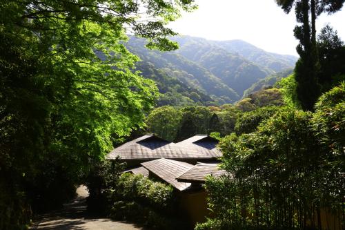 Japanese-Style Standard Room image 1