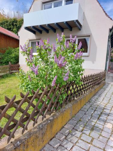 Aed, Sehr beliebt! Ferienhaus zur Donau in Herbertingen