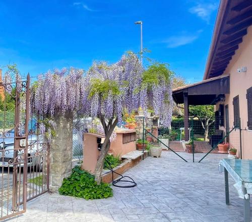 Il Glicine di Luna gîte à louer Torrimpietra