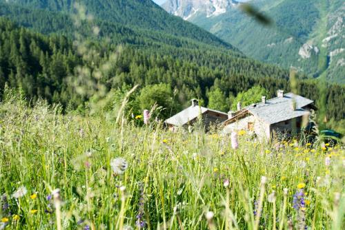 One-Bedroom Chalet
