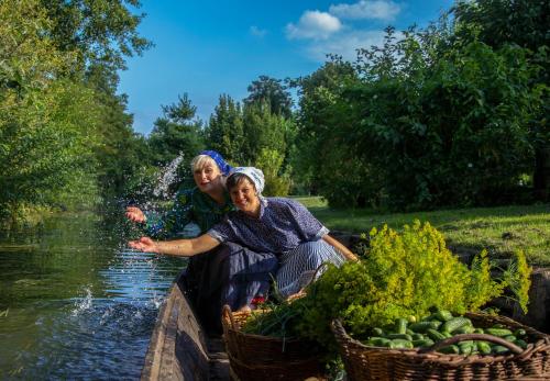 Spreewald Pension Am Spreeschlößchen - image 10
