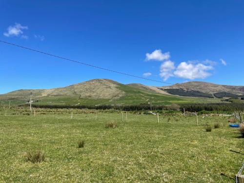 Reenconnell Dingle, Дингл (фото 7)