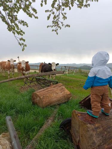 Ferienwohnung im Mühlviertler Panorama Vierseithof