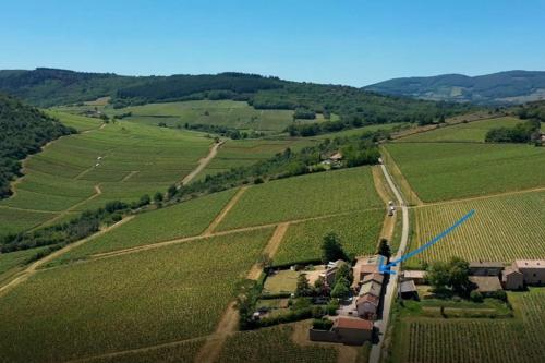 Le Tinailler Grand Standing au Cœur des Vignes - Location saisonnière - Prissé