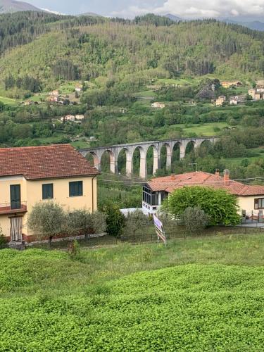 Birillina al Poggio