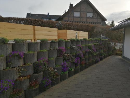 Ferienwohnung Blumenparadies in Nettersheim, Deutschland