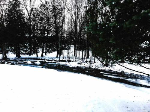 Cottage on the Noisy River Blue Mountain Wasaga