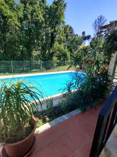 Sossego na cidade gîte à louer Viseu