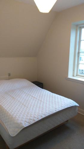 White house 51 in Horsens