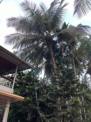 . Sadhana Homestay