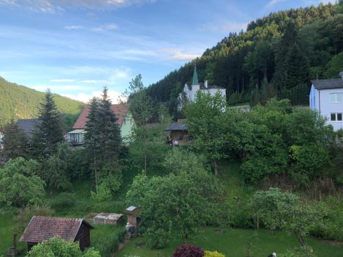 View, Gastehaus Lumesberger in Grein