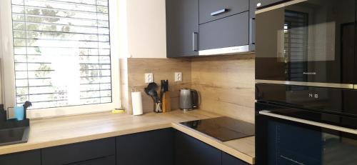 Konyha, Relax apartmán Pod Javorem (Relax apartman Pod Javorem) in Kladno