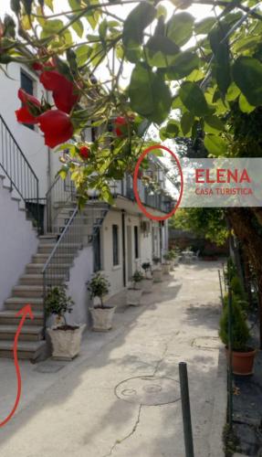 Elena Casa Turistica