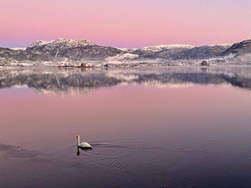 Magnar, Etnesjøen (photo 5)