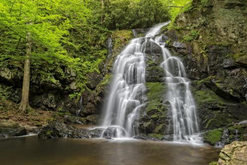 Mountain Tyme near Gatlinburg-Pigeon Forge Airport
