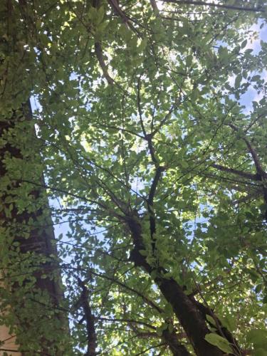 Apartman Hana in Bihac