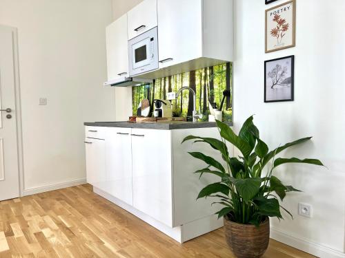 Treetess City Centre Prague Apartments 4