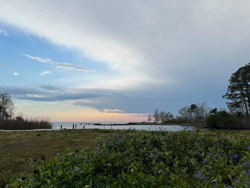 Salt Box on the Sound