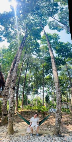 Forest Side ecolodge