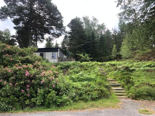 Lägenhet i Hällestrand Semesterby, Laxen (Lagenhet i Hallestrand Semesterby, Laxen) in Hällestrand