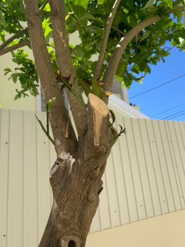 Villa Luxsomar Villa Luxsomar