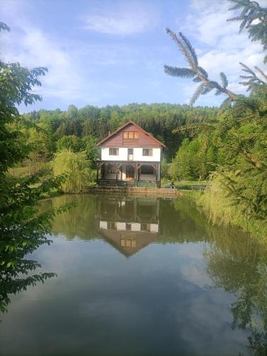 Cabana Țibleș Bichigiu (Cabana Tibles Bichigiu) in Zagra