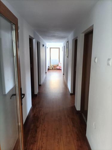 Cabana Țibleș Bichigiu (Cabana Tibles Bichigiu) in Zagra