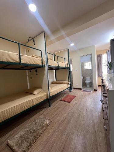 The Sparkling Turtle Backpackers Hostel in Swayambhu