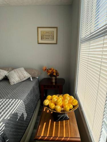 Tranquil Home, Master Suite, Zen room, Pittsburg, Canton Avenue, Banksville in Pittsburgh, USA