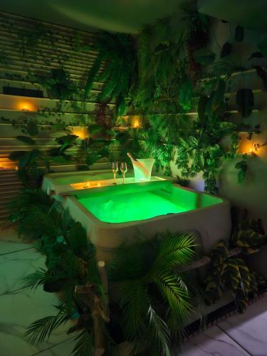 Jungle Spa Privatif - Love Room - Séjour nature et romantique à L'appart'hôtel 23ème avenue - Accommodation - Lamalou-les-Bains