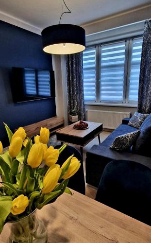 Apartamenty Sun and Ski Centrum Szklarska Poręba, Szklarska Poręba (foto 2)