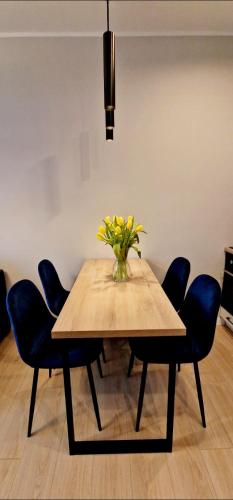 Apartamenty Sun and Ski Centrum Szklarska Poręba, Szklarska Poręba (foto 8)