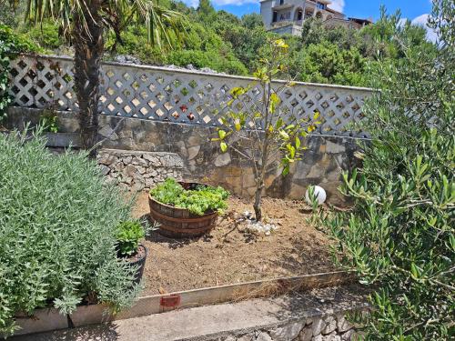 Apartment with Sea View image 6