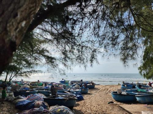 Bằng Lăng Tím Homestay - Binh Thuan - 주변 환경