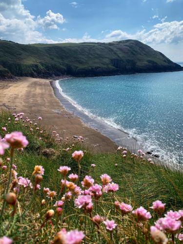 Beach Woods Coastal Path chalet