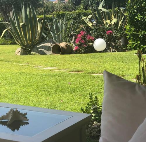 Un'oasi di relax con giardino sul mare!